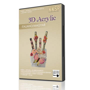 dvd_covergel_paint_shop