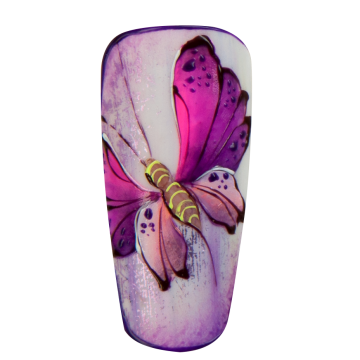 3in1 Training Bundle